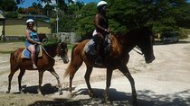 Horseback Riding Dunn's River Falls Adventure from Montego Bay 