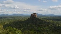 A Full-day Sigiriya and Dambulla Private Tour.