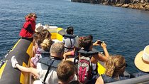 Boat Tour in Peniche