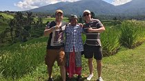 UNESCO Jatiluwih, FOREST TEMPLE, Bedugul with private tour guide