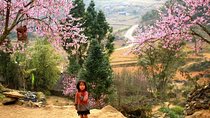 Sapa 3 Days 2 Nights Trekking Tour (1 Night In Ta Van Village, 1 Night In Hotel)