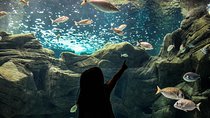 CRETAquarium Entrance Ticket in Crete