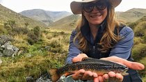 Fly Fishing on Private Andean River Including Barbecue Lunch