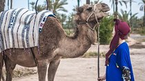 Marrakech camel ride in the Oasis Palmeraie