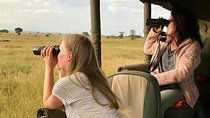 4 days Safaris lake Manyara , Serengeti & Ngorongoro National Parks, Tanzania