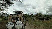 3 Days Safari to Tarangire, Ngorongoro & Lake Manyara parks