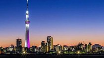 [Private] Tokyo Personalized Tour (Guide Only)