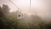 Monteverde Sky Tram & Hanging Bridges Cloud Forest Tour from San Jose