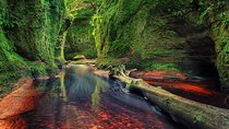 Find a hidden Glen in Scotland's woods