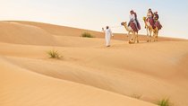 Premium Red Dunes Safari and Camel Safari with BBQ Dinner