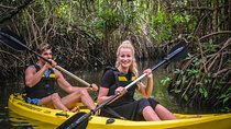 Madu River Sunrise Mangrove Kayaking from Colombo