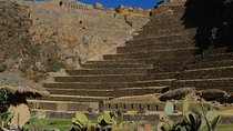 Pisac Indian Market and Ollantaytambo Fortress with Lunch