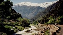 Private Full Day Tour in Ourika Valley and Atlas Mountains 