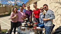 Private Winery Tour near Madrid with Sommelier (6-hour)
