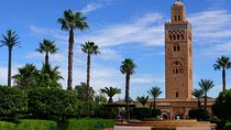 Marrakech Half-Day Cultural Walking Tour (No Shopping)