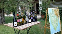 A Sample Of Wine, A Sample Of Istria - A Short But Fulfilled Program