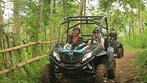 Bali Quad and Buggy Explorer Tour