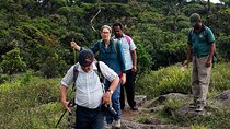 6-Day Central Highlands UNESCO World Heritage Adventure Tour