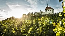Prague´s Hidden Vineyards Private Tour