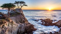 Monterey, Carmel and 17-Mile Drive: Full Day Tour from SF