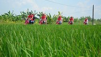 Hanoi Vespa Tours: Hanoi Vintage Vespa Tours Countryside 