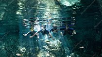 Dos Ojos Cenote VIP Private Tour – Snorkeling & Mayan Lunch