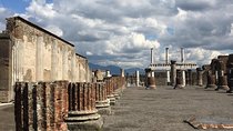 Private Trasportation To Pompeii + Lunch And Wine Tasting 6 Hours Total