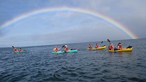 Waterfall Hike and Kayak Snorkel & Paddle from Makena