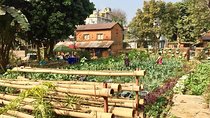 Urban Organic Farm Tour with Authentic Nepali Lunch in Pokhara Nepal