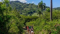 Puerto Plata: Mountain Half Day Horseback Riding