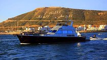 Fantastic 1 hour sunset ship excursions & stunning views