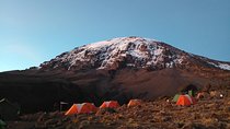 7 days Rongai route climbing Mt. Kilimanjaro 