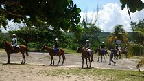 Horseback Riding and Swim from Montego Bay 