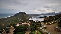 Cape Peninsula Tour: Cape Point, Penguins & More