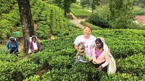 2 -Days private tour to Nuwara Eliya from Colombo