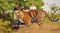 5-Day Private Delhi, Agra and Jaipur with Ranthambhore Tiger Tour From Delhi 