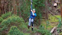 Haleakala 6 Line Zipline Adventure