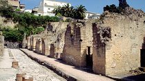 Naples: Pompeii, Herculaneum, and Vesuvius Tour by Minivan