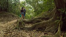 Tayrona National Park - Trek to Cabo San Juan