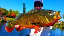 Miami Airport Lakes Peacock Bass Fishing Trip (1 to 4 ppl)