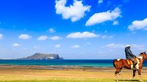 Jeju Canola blossoms festival -horse riding-folk village tour