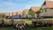 3 day Tour: Medieval Transylvania with Half Board