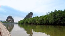 Mangrove Boat Tour in Krabi
