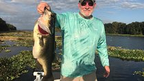 Rodman Reservoir Fishing Trip near Palatka FL