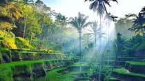 Private All Day Trip Around 4 Days in Bali " Complete Tours"