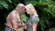Private Auckland Maori Luxury Tour