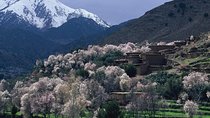 Atlas Mts. +Three Valleys Day Trip from Marrakech (Min. 2 P)