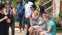 Private & Customize Tour to Bob Marley's Nine Mile and Dunn's River Falls 