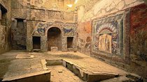 Guided tour of Herculaneum