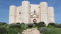 Tour of Castel Del Monte, Trani and Molfetta